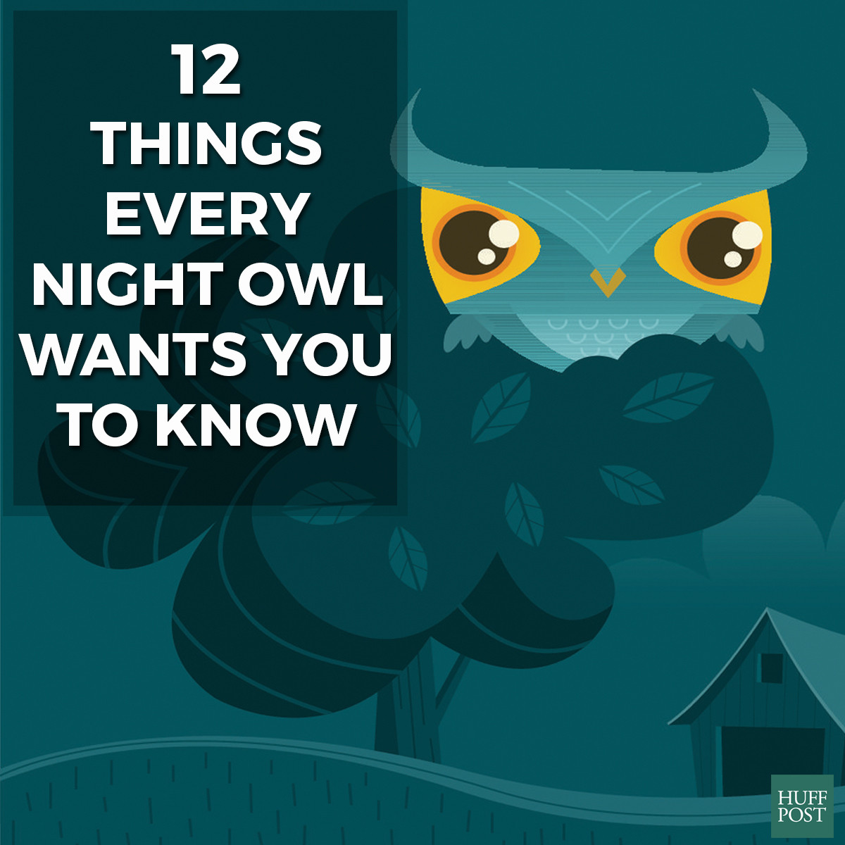 12 Things Every Night Owl Wants You To Know