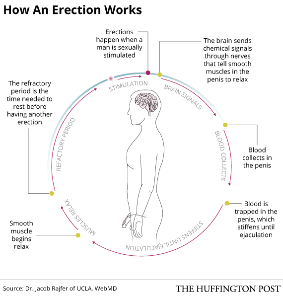 What Your Morning Coffee Has To Do With Erections
